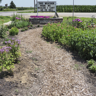 Butterfly garden - in progress